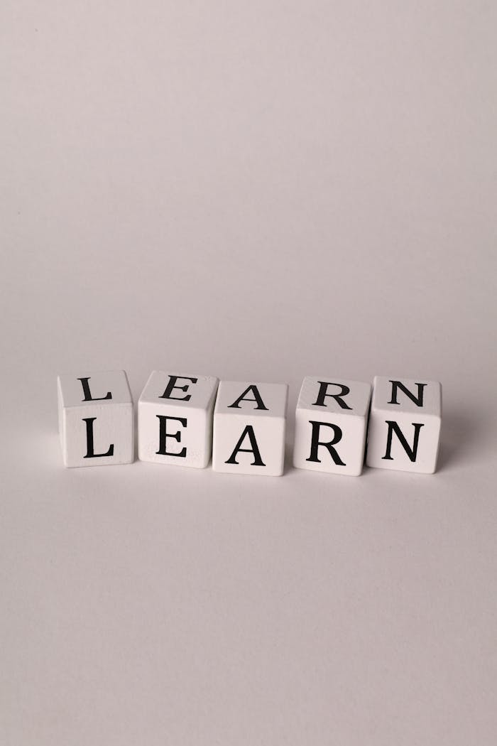 Close-up of letter blocks spelling 'LEARN' on a clean white background, emphasizing education.